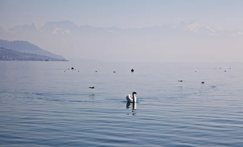 Lausanne